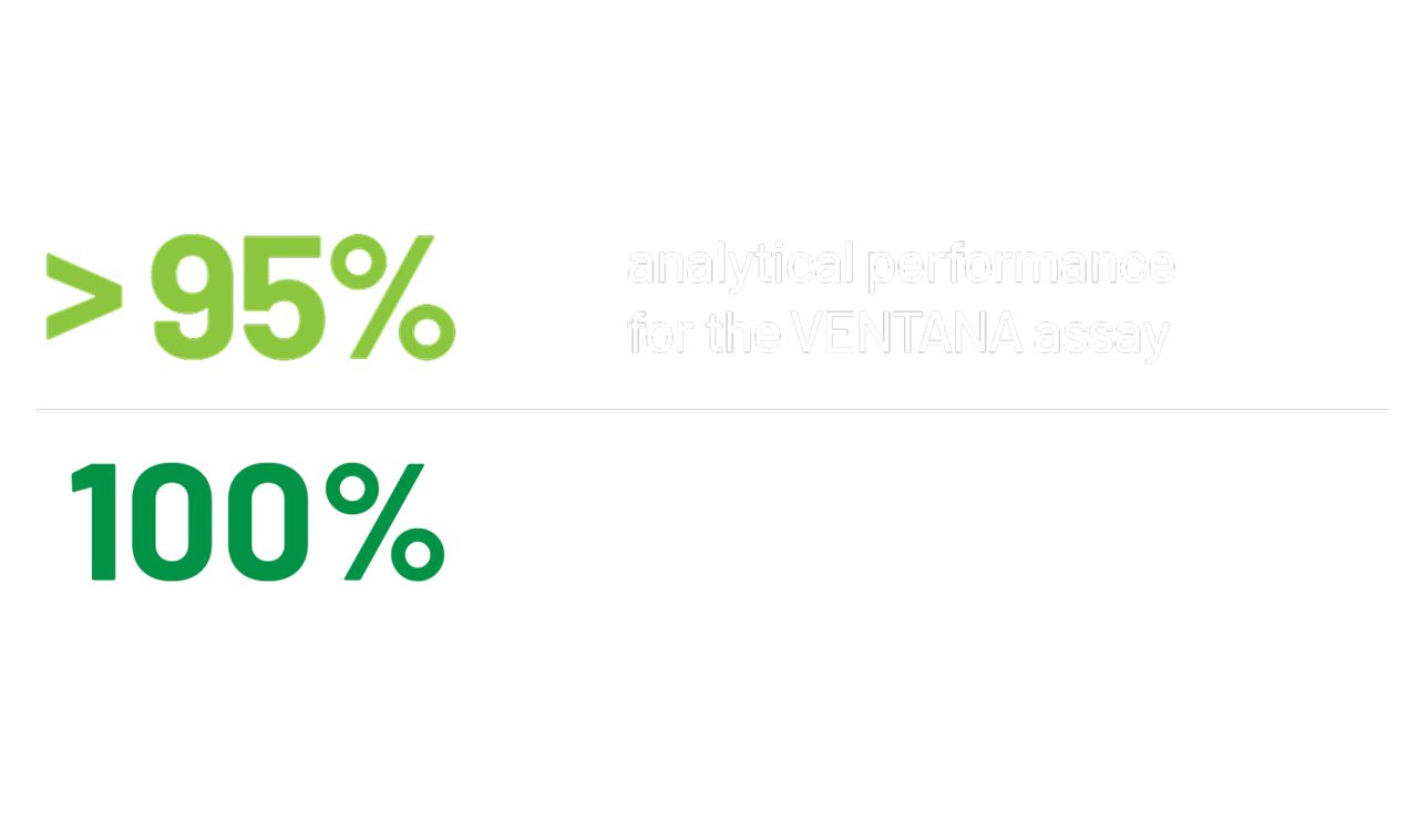 Percentage image