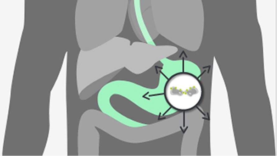 Maintained in metastatic progression